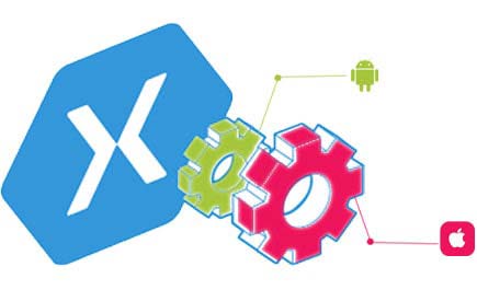 How To Set Up Xamarin App Development On iOS and Android?
